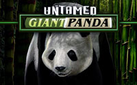 Giant Panda Slots