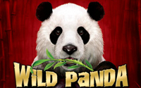 Wild Panda Slots