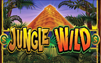 Jungle Wild Slots
